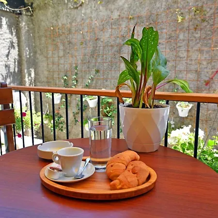 Dream House Enia 1 Szkodra