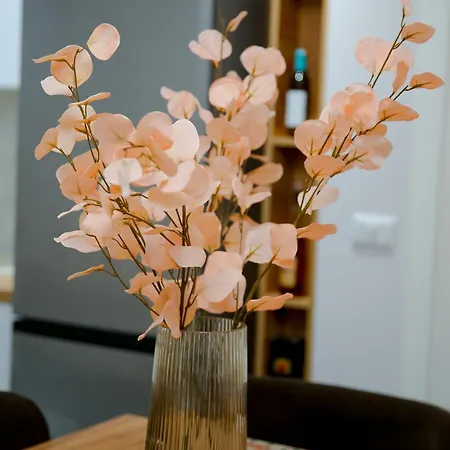 Apartmán Dream House Enia 1 Shkodër