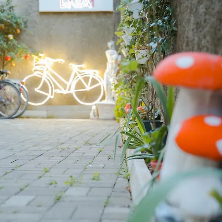 Apartament Dream House Enia 1 *