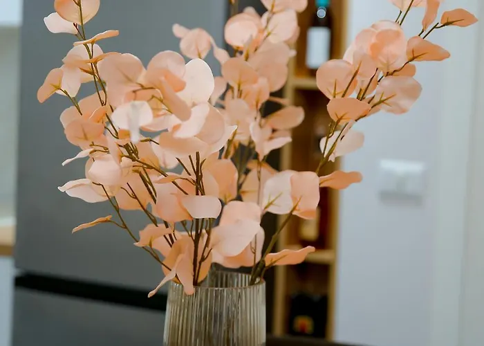 Apartment Dream House Enia 1 Shkodra